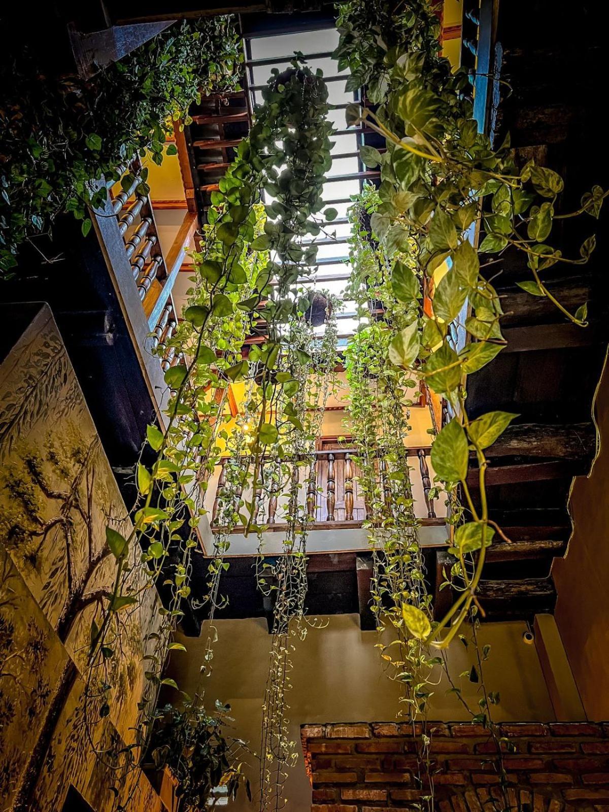 Scalea Di Mare Hotel Cartagena 外观 照片